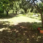 Daillu