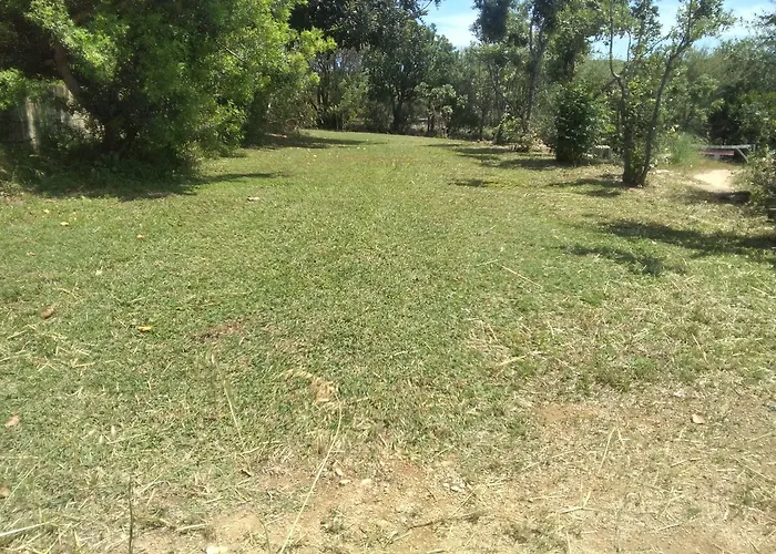 Daillu Bed & Breakfast