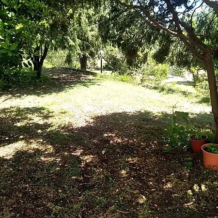 Daillu לינה וארוחת בוקר 3*