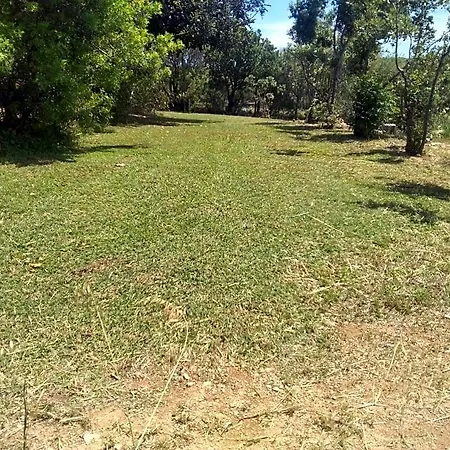 Daillu