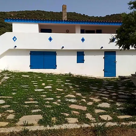 Daillu אולביה