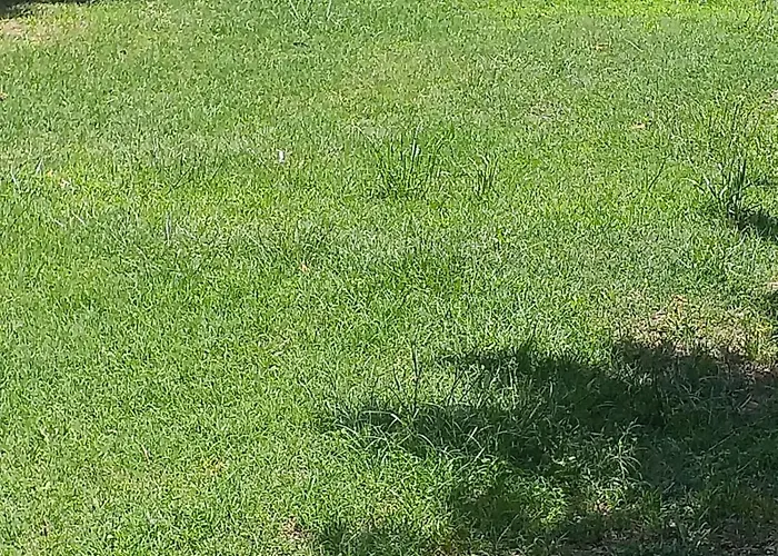 Bed & Breakfast Daillu